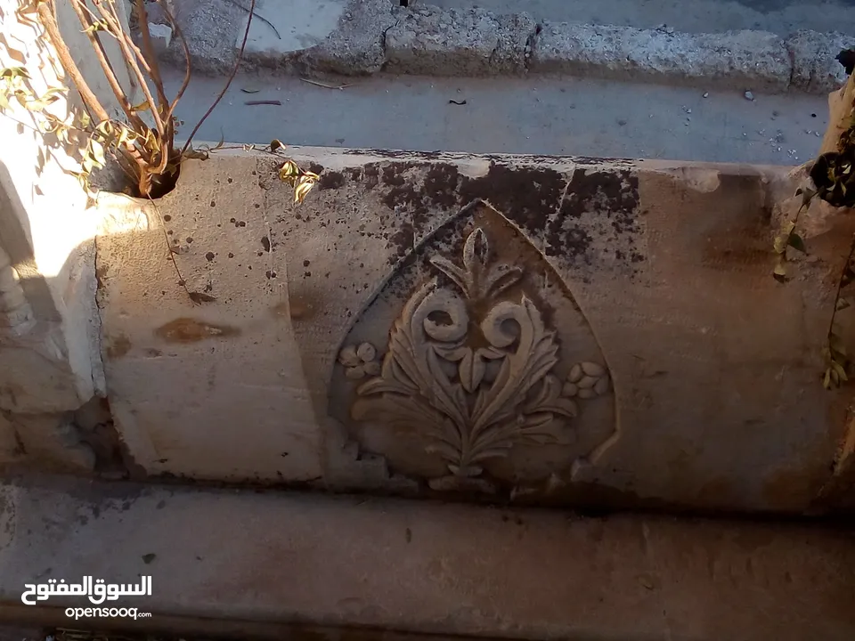 مطلوب للشراء ديوك بلدي ومصري عمر فوق الست شهور نشتري مهما كانت الكمية على دينارين للحبة
