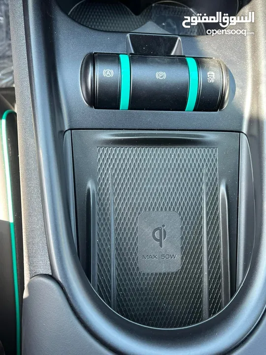 Byd bolphin knight