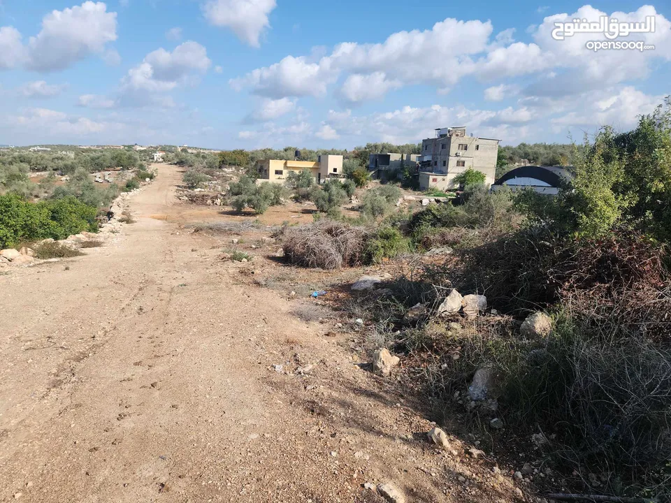 حصة بمنطقة الحرايق