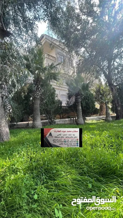 قصر  للبيع في اجمل مواقع راس بيت جالا