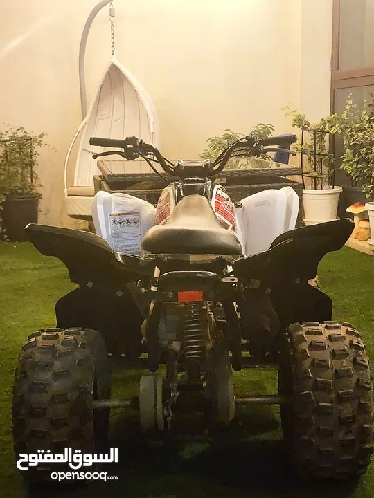 Yamaha 90 Raptor