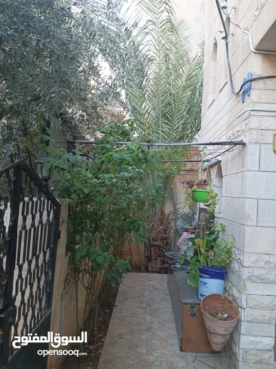 عمارة للبيع
