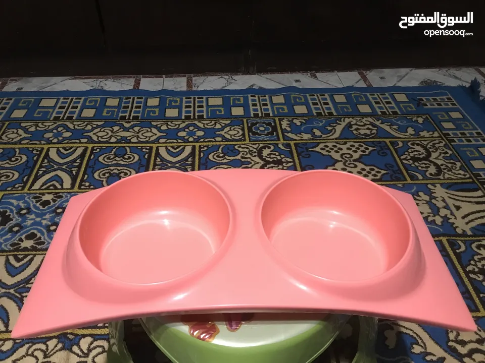 مستلزمات قطط