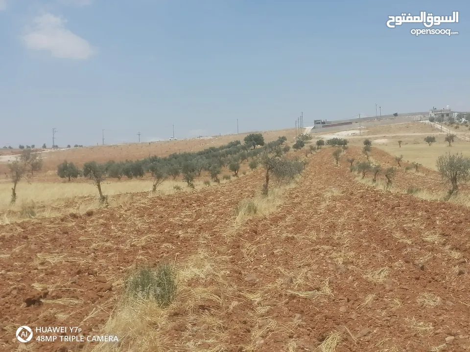 ارض للبيع مساحه 3400م قوشان مستقل مفروووز