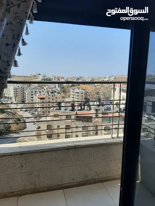 ابو زين زيدات