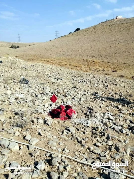 قطعة ارض للبيع في البيضاء حوض الحميدين