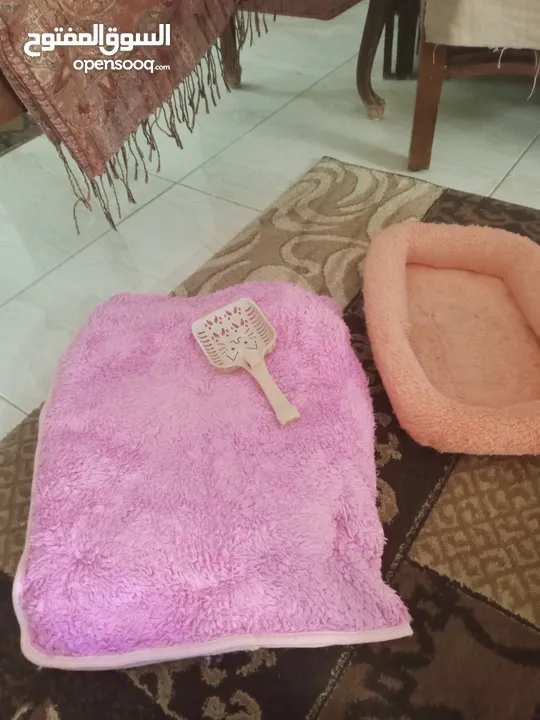 مستلزمات قطط