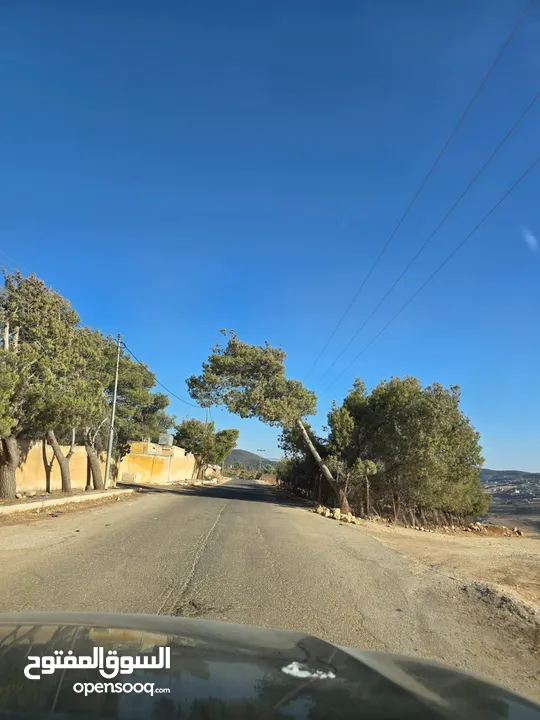 تل الرمان شمال عمان