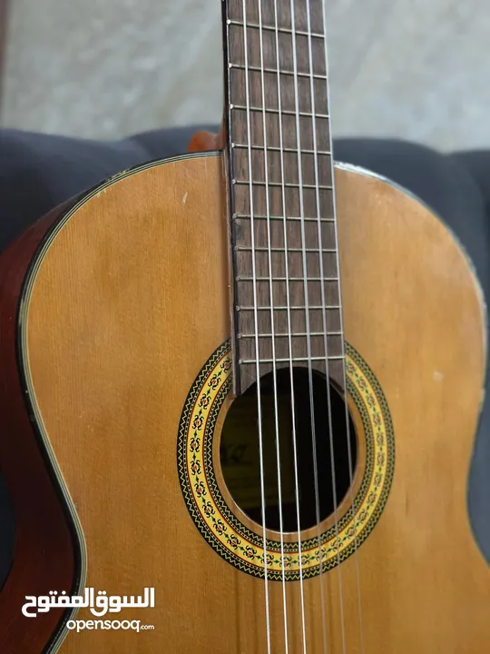 جيتار ايطالي eko c-956 model number مستعمل مع اوتار جديدة CG01 و handcrafted