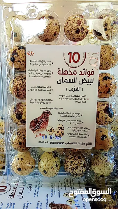 بيض فري سوبر جامبو