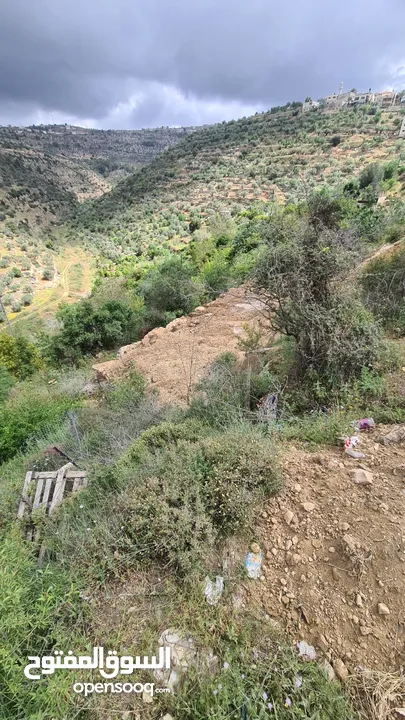 عجول قطعة ارض 811 متر كوشان طابو مستقل سلطة أ