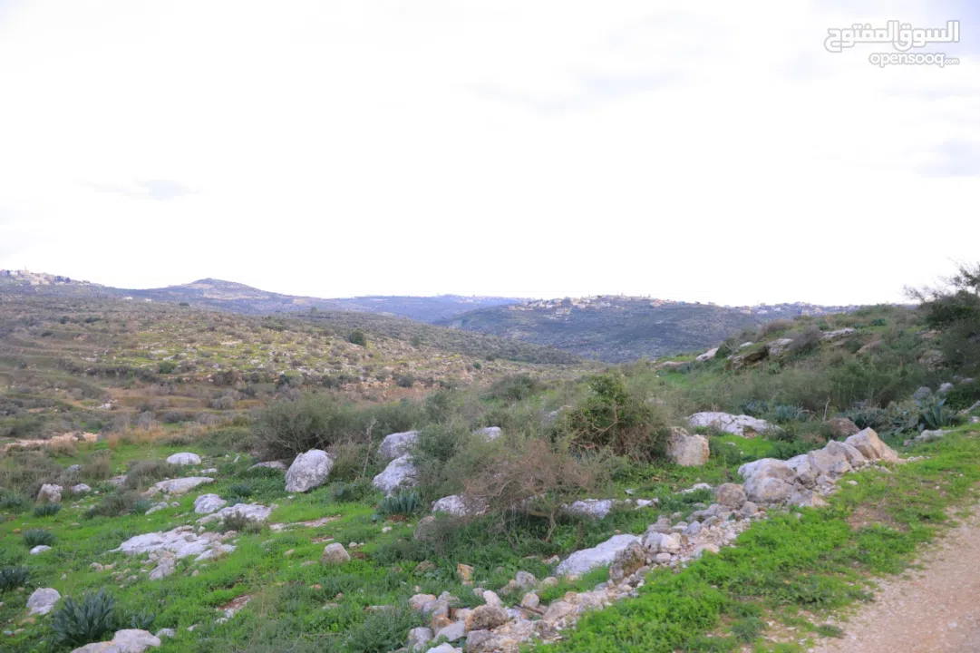 دونم ارض طابوا فلسطيني منطقة (B)بالقرب من دوار كفرصور جميع الخدمات فيها عليها شارع 12متر موقع مميز