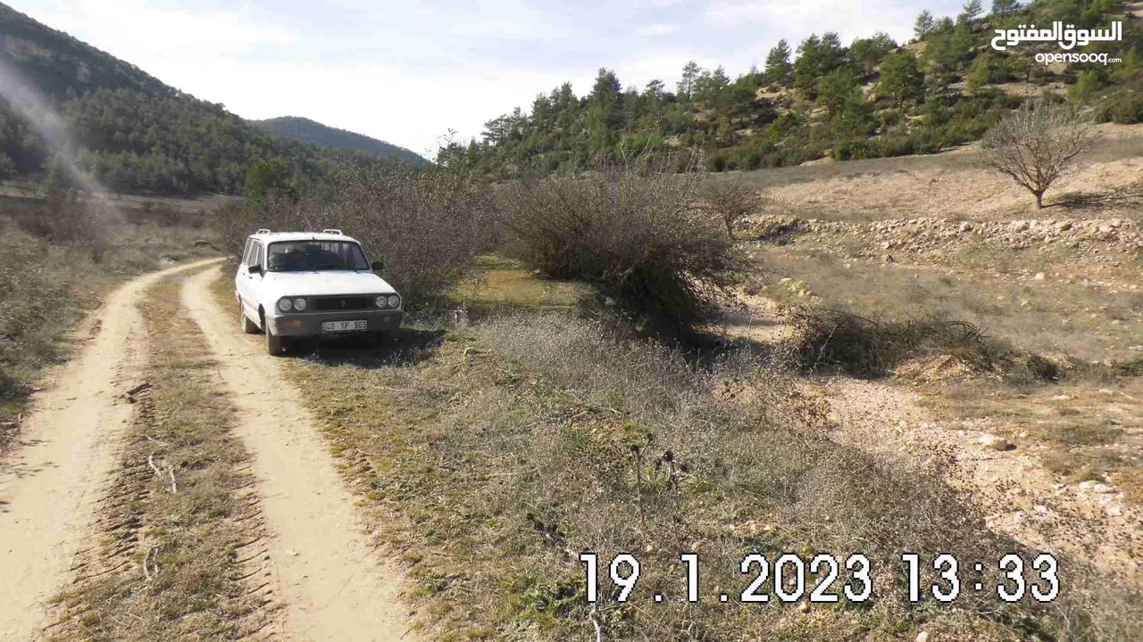 Land near DENIZLI, 15,850m², on the edge of a forest, for wine or fruit cultivation, from Owner