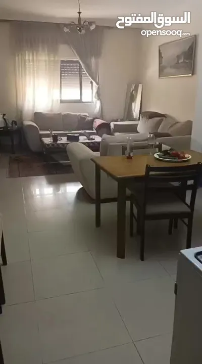 شقه سكنيه مفروشه و مؤجره