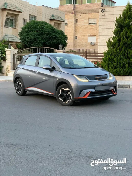 byd dolphin fashion 2022