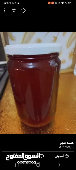 عسل السدر الاصلي  والمكفول من الغور من رحيق النحل