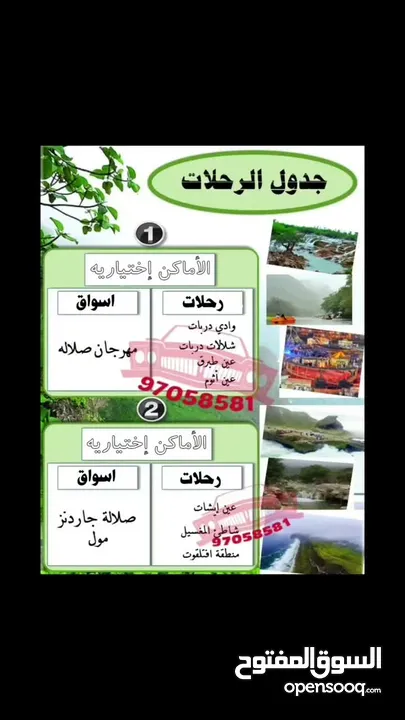 سيارة عائلية مع مرشد سياحي خريف صلالة