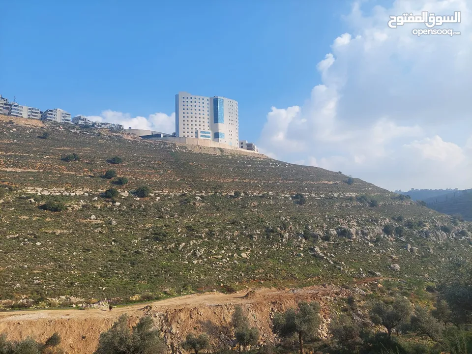 دونم ارض للبيع في الريحان