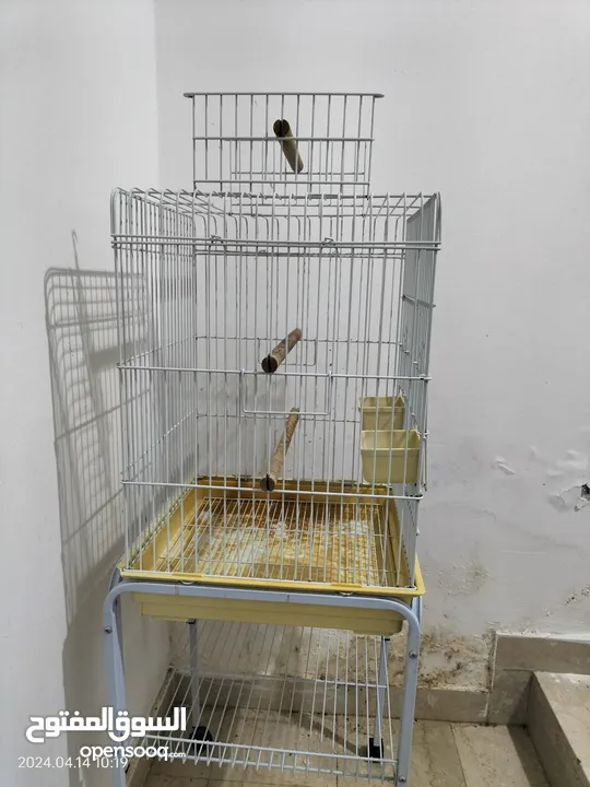 brand new condition big bird cage
