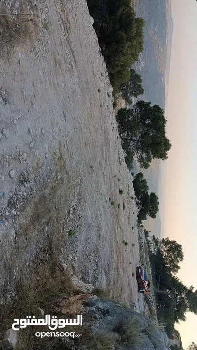 الموقع الاجمل للبناء والهدوء والاطلالة المرتفعة البانورامية فوق الاحراش.