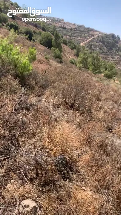 قطعة ارض تصنيف الف طابو في منطقة الخليل حسكا مساحة دونم تصنيف الف طابو