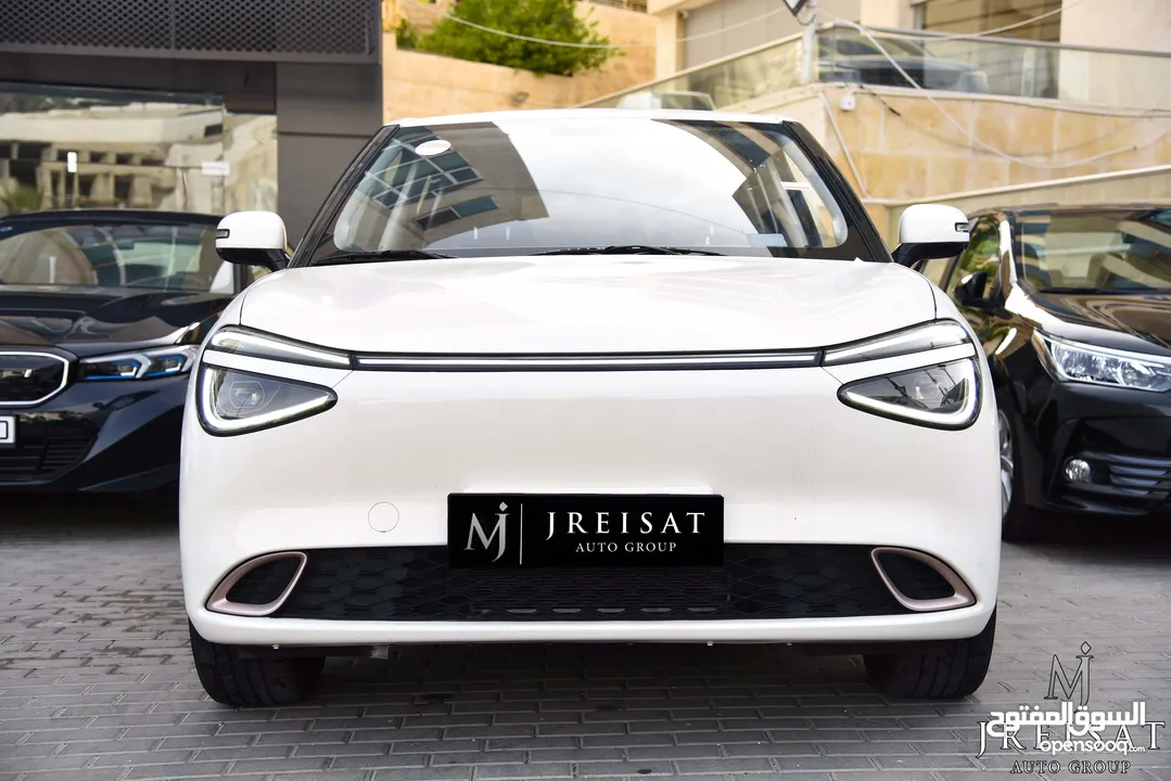 دونغ فينغ نامي بوكس كهربائية بالكامل 2023 Dongfeng Nammi Box 01