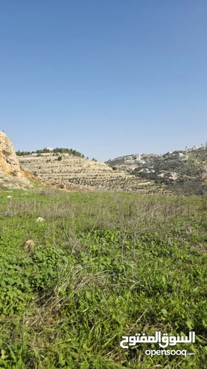 قطعة نص دونم دورا