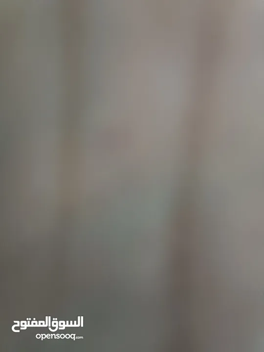 اوبل كورسا 2013