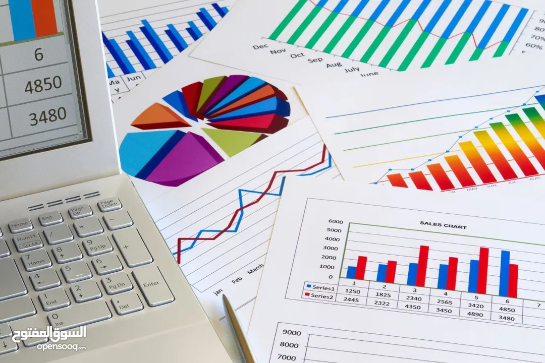 أستاذ محاسبة و اقتصاد حاصل على الامتياز لطلاب الجامعات