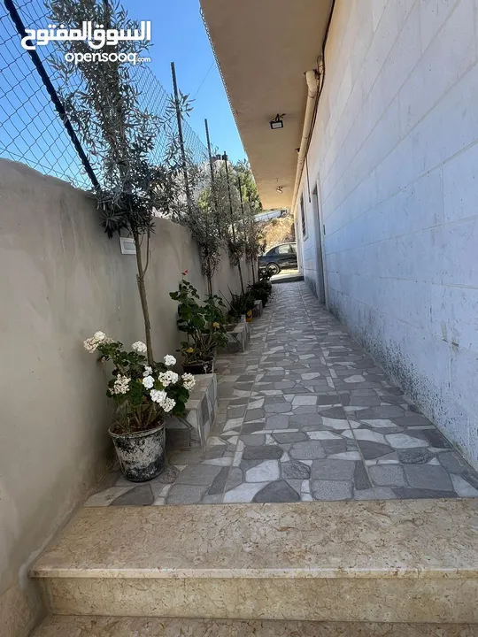 يونس فاخوري