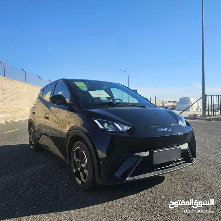 BYD سيكال 2024 شكل 2025