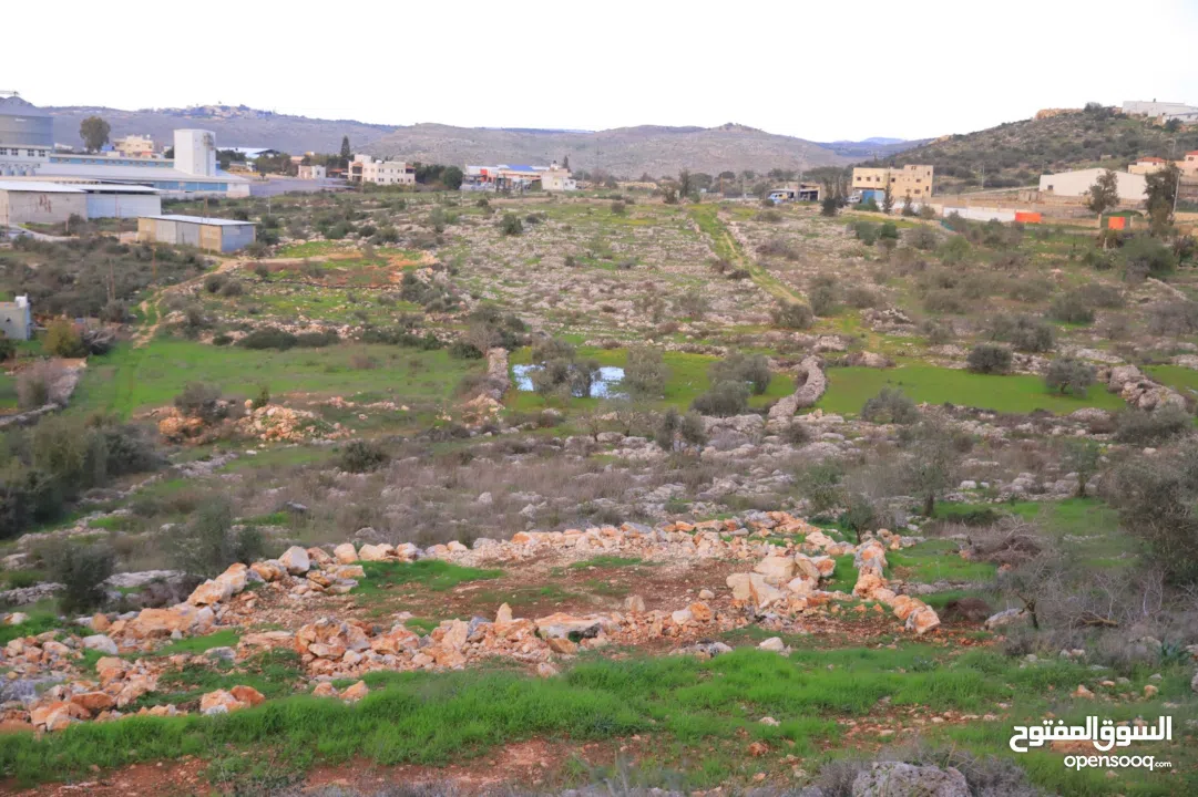 800متر طابوا فلسطيني في اجمل موقع بالكفريات واطلالة مميزةمنطقة( b)صالحة للبناء