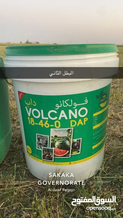 داون سفن مصنع سماد الشمال