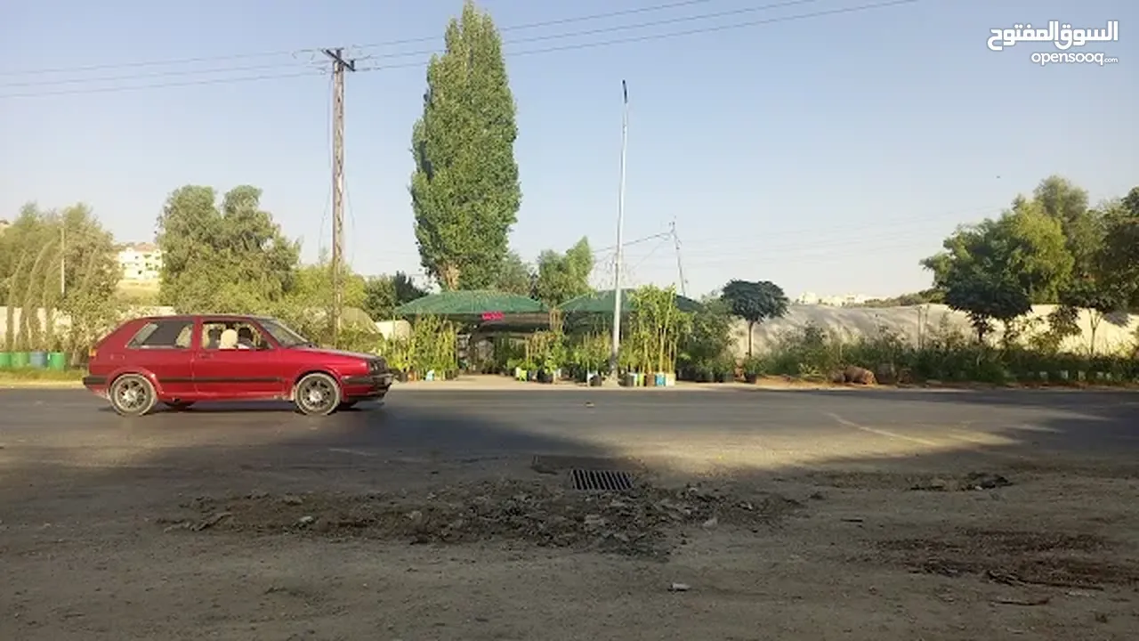مطلوب شريك او ممول  لمشتل زراعي قائم منذ ما يزيد عن 35 سنه ولا يزال يعمل ومعروف في منطقة طبربور