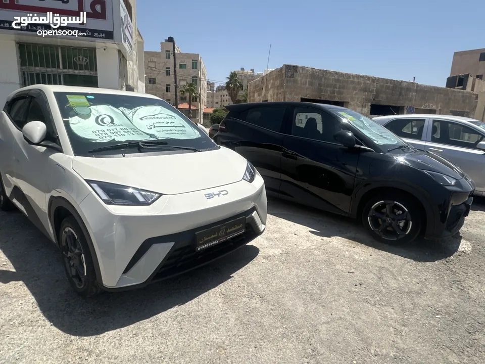 BYD سيجال 2024