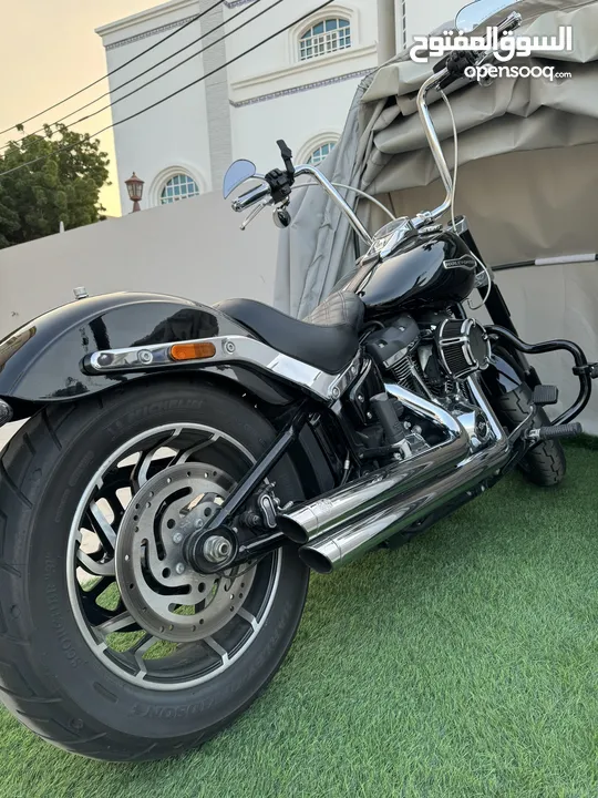 هارلي سوفتيل وكالة عمان Harley softail