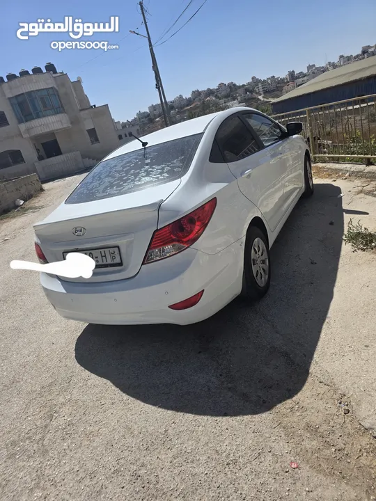 مهند شافعي شافعي