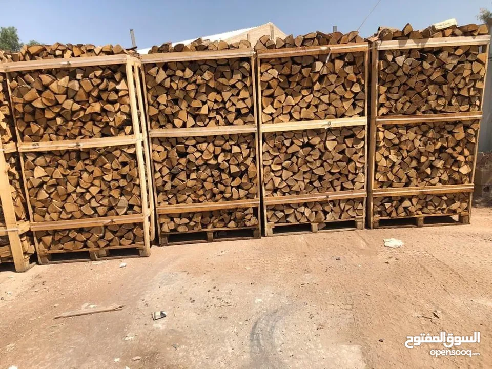 حطب بلوط مستورد
