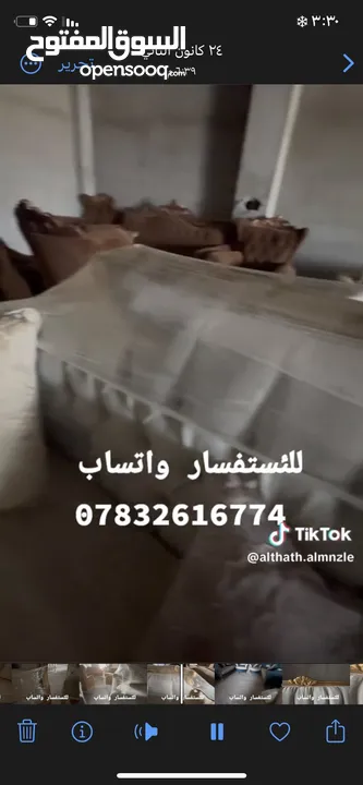 تخم ملكي ضخم لون واي فايت كلش حلو