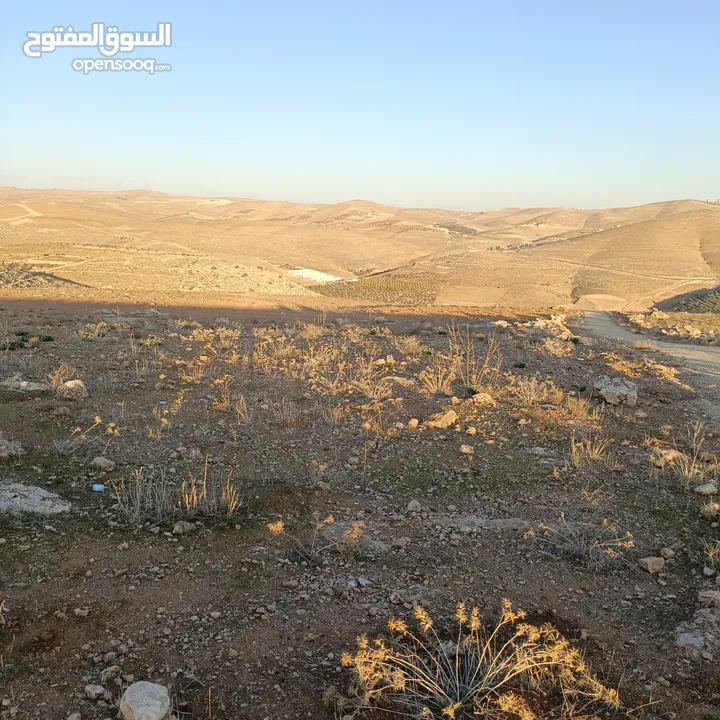 قطع اراضي للبيع كاش او اقساط
