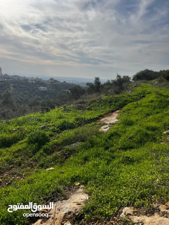أرض للبيع بإطلالة غربية واصل جميع الخدمات