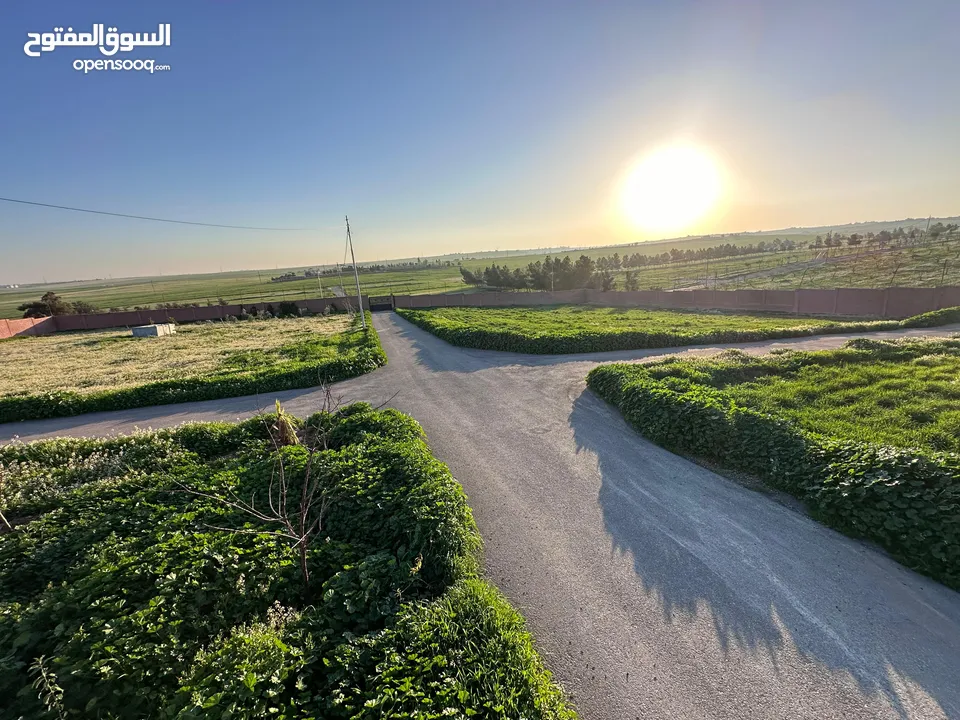 ارض للبيع على شارعين طريق المطار مع سور مجاني جلول 6 كم من جسر المطار من المالك مباشرة