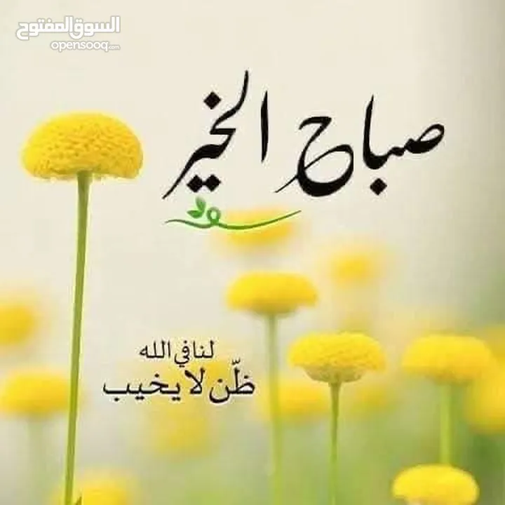خمس نعاج نخب هجمات سن 650