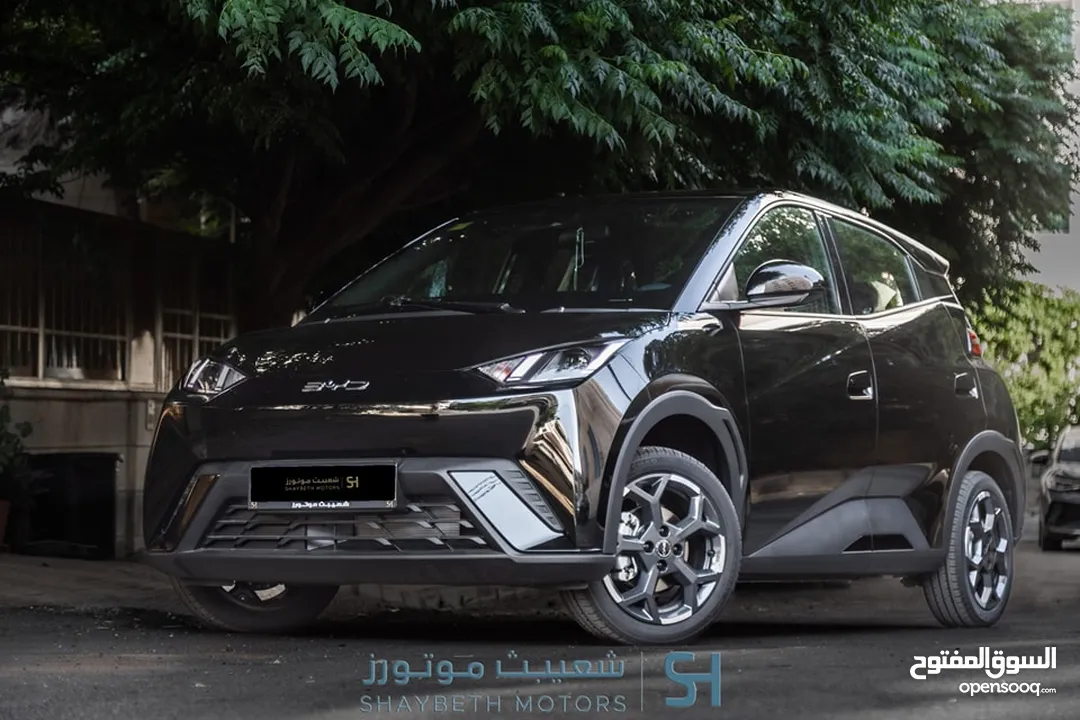 Byd Seagull 2024