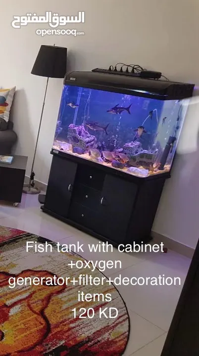 Fish Tank with Cabinet + Oxygen + Generator + Filter + Decoration Items