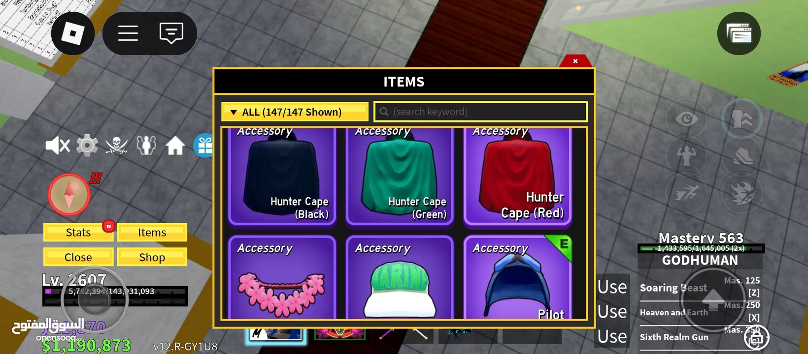 حساب Roblox (Blox fruit) في دراقون و غاز بيرم بسعر مغريييي 35 دينار (اقرأ الوصف)!!!!! السعر اول شهر