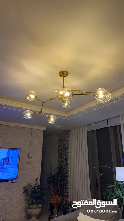 ثريا مودرن ذهبية بثمان رؤوس زجاج – من محل MECASA Khalda