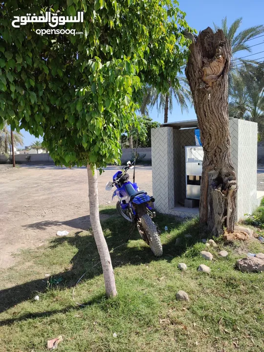 دراجه تو ستروك 125cc جاباني ياماها