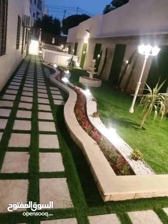 يتوفر جميع أنواع الاشجار  حمضيات لوزيات شجر زينه نسعد بخدمتكم