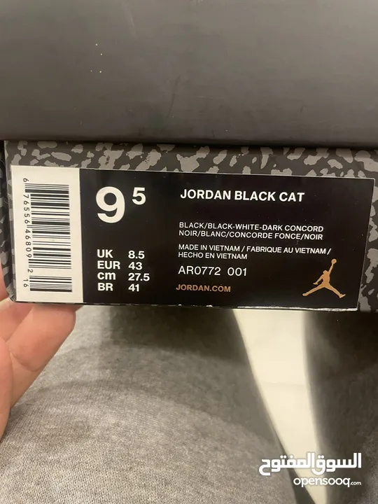 Jordan black cat